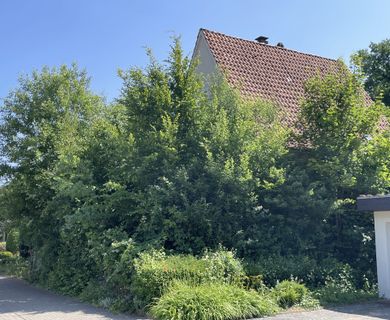 Häuschen im Dornröschenschlaf