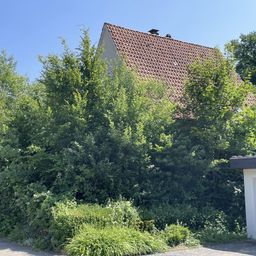 Häuschen im Dornröschenschlaf