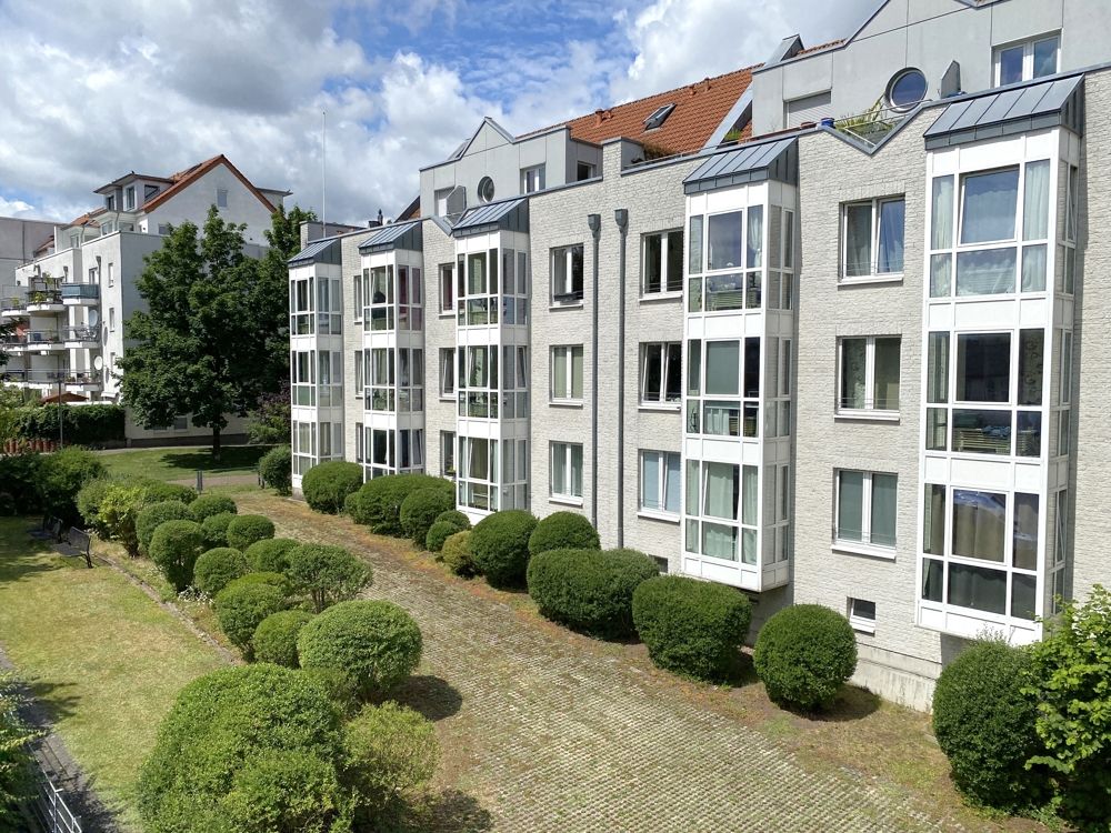 Blick in den Garten
