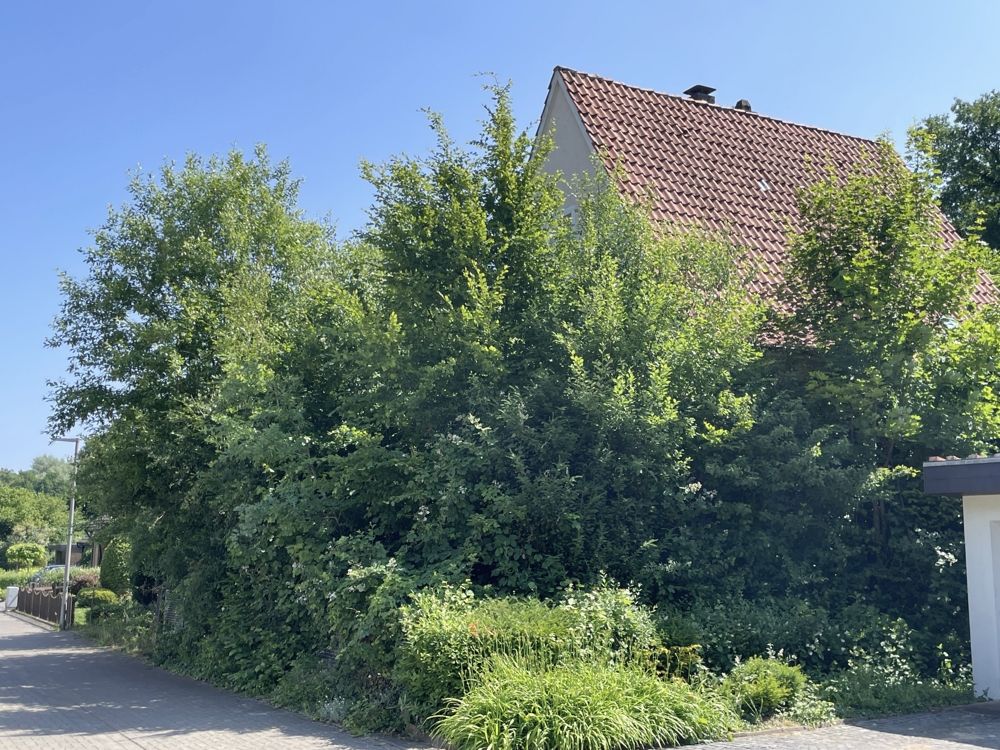 Ansicht von der Straße
